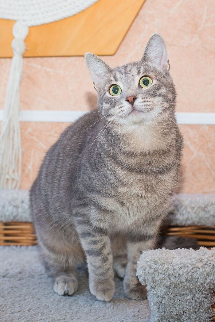     ! ,    , , ,  , ,  , ,  , ,   ,  ,  , ,  