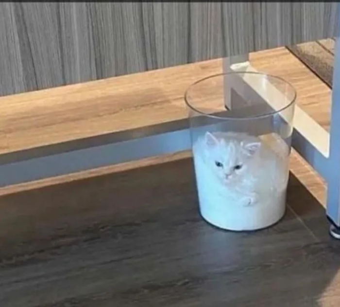        ... , ,   , , , ,   