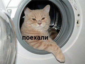 FAQ      , , FAQ, , , 