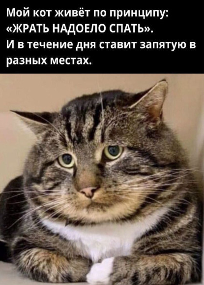   ,   , , , 