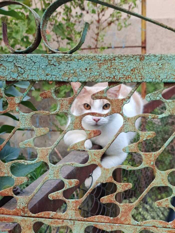   ,  , , 