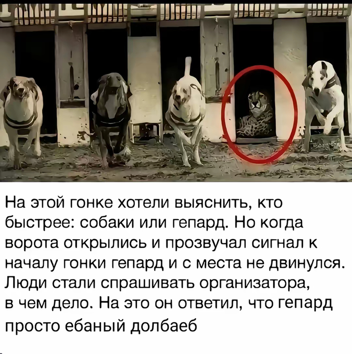   , ,  , ,  , , 