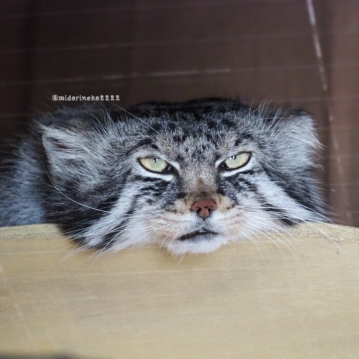 С пятницей...