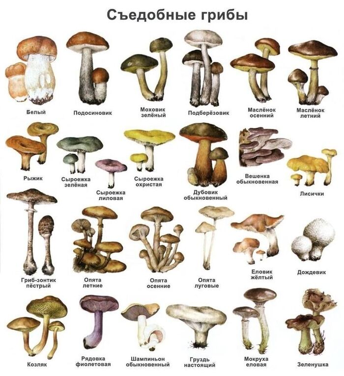   , , ,  , ,   , 