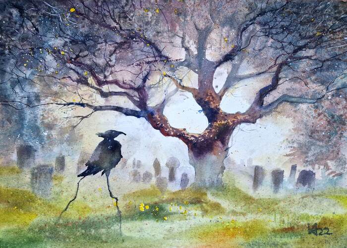 ��������