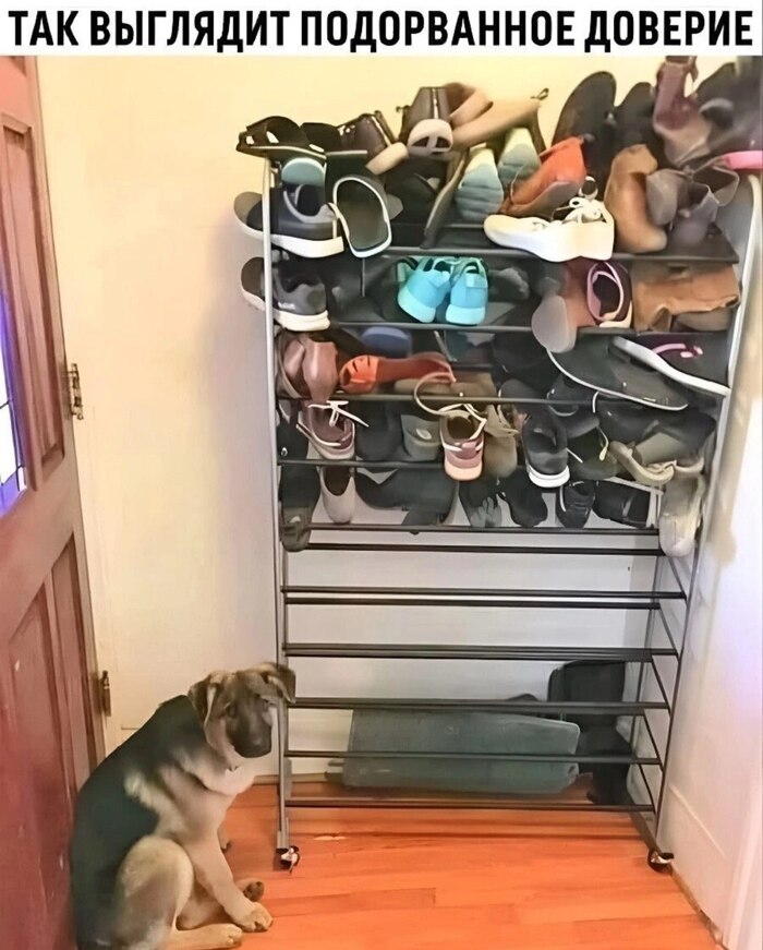    , , ,   , , , 