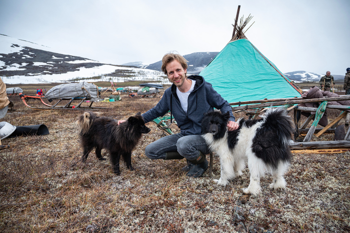Самые главные помощники оленеводов - это собаки.
