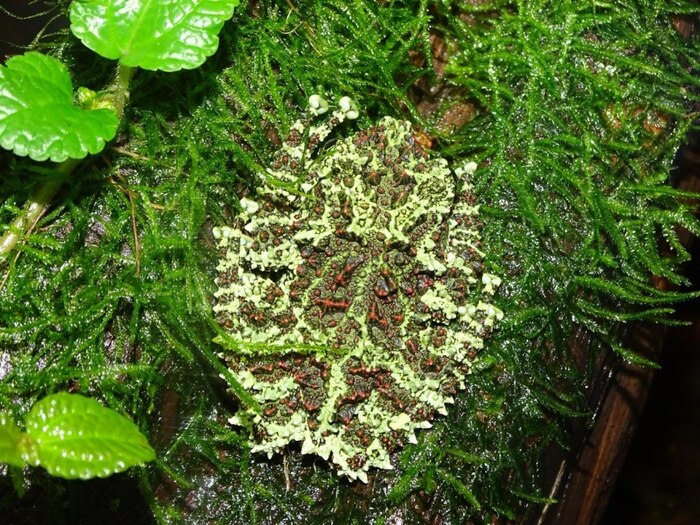 �������� �� ������?