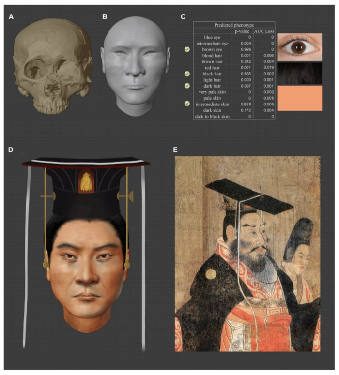     , ,  (), ,  , , , , ,  , 