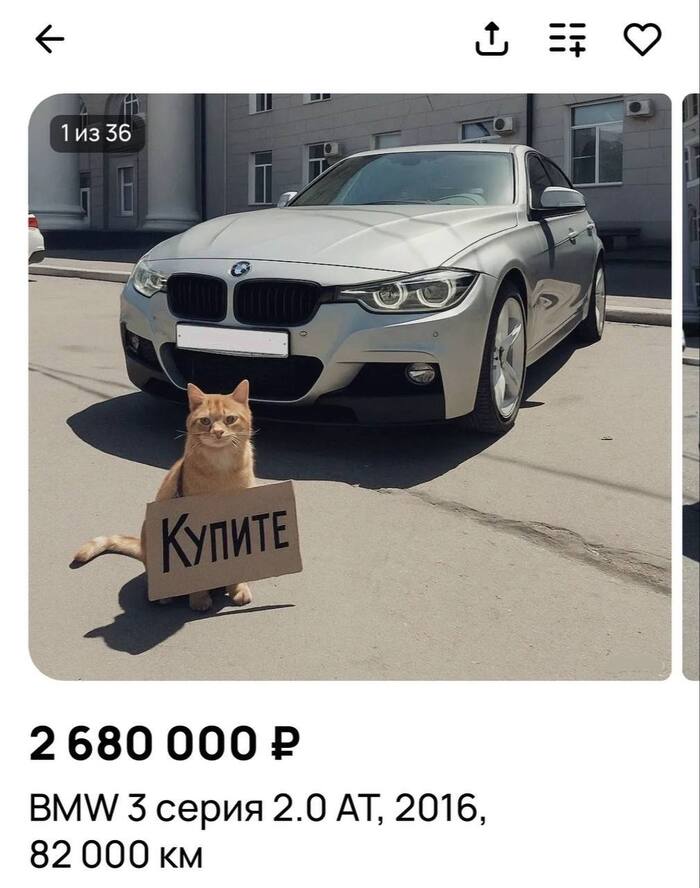              , ,  , ,  