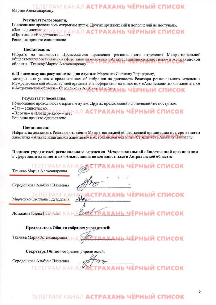 Астраханская зоозащитница, депутат ЕР Светлана Марченко попала в Чёрный список Астрахань
