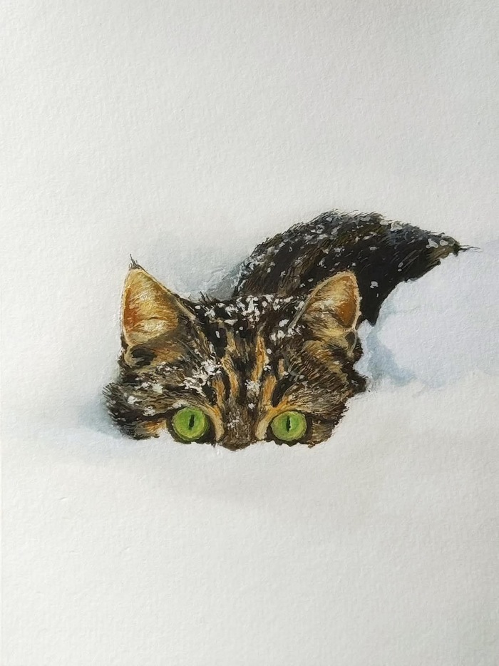 Зимний котик