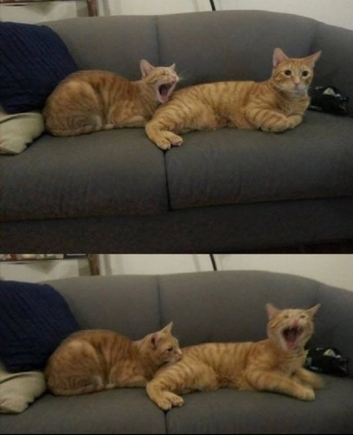    , , , , 