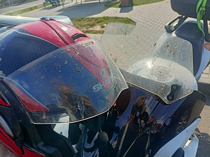 ���������� ���������� ���������� ������������� ���������� ���������� ����� �� ������ � ����������. ��� - ���� �� ������ � ������.