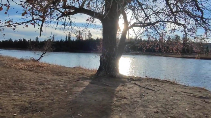 река недалеко от дома. природа тут - блаженство.