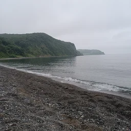 Blekharskau