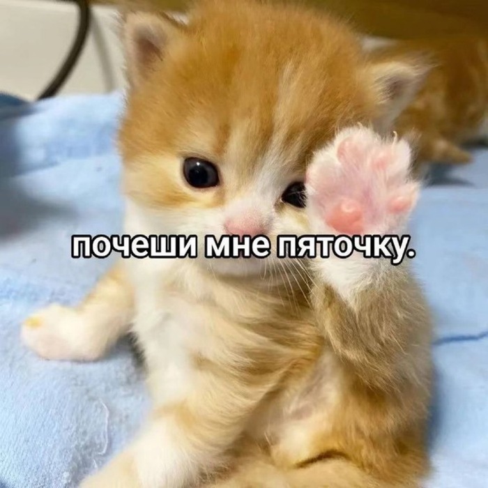   , ,   , , ,  ,  , , , RUTUBE