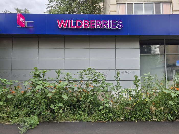    Ozon  Wildberries.        , ,  (), 