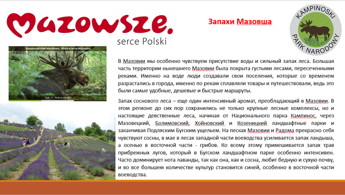   - Kultura Mazowsza -  , , , , , 