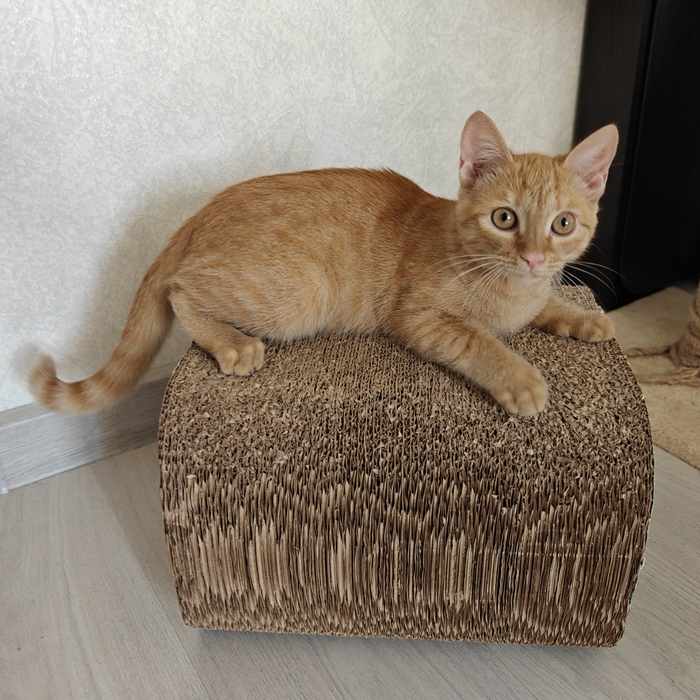 Иногда озадаченная