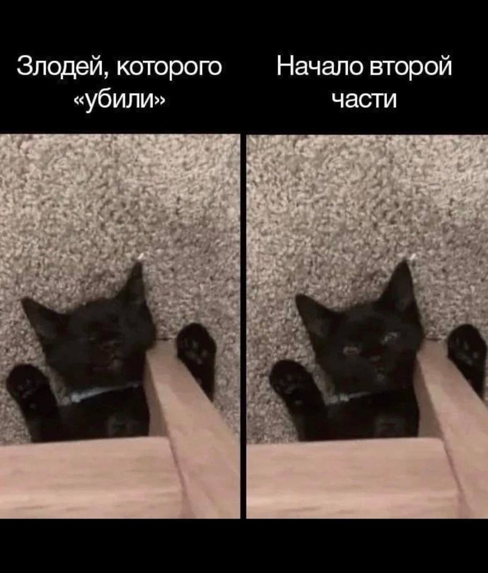 ,   , , , ,   