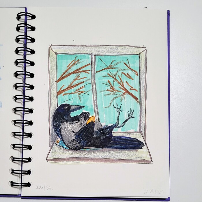  . 207/365 , , , 