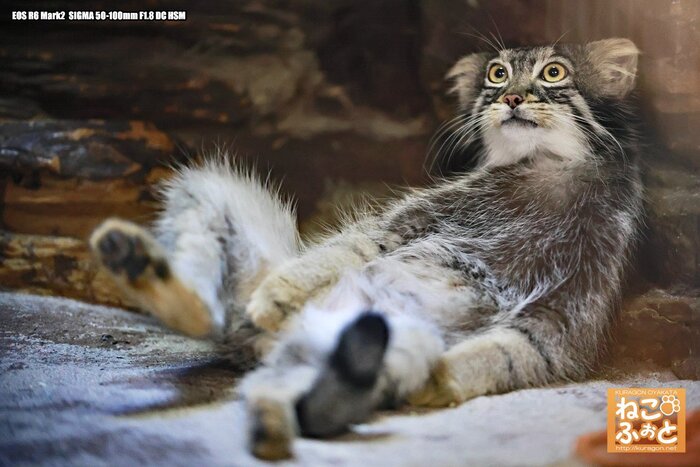 А до отпуска ещё так далеко...