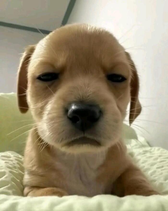     , , , , 