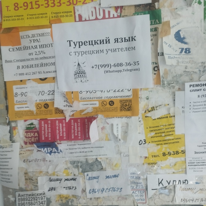 Ceddin deden, neslin baban 