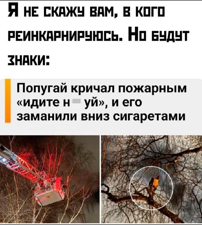    , , , , ,   