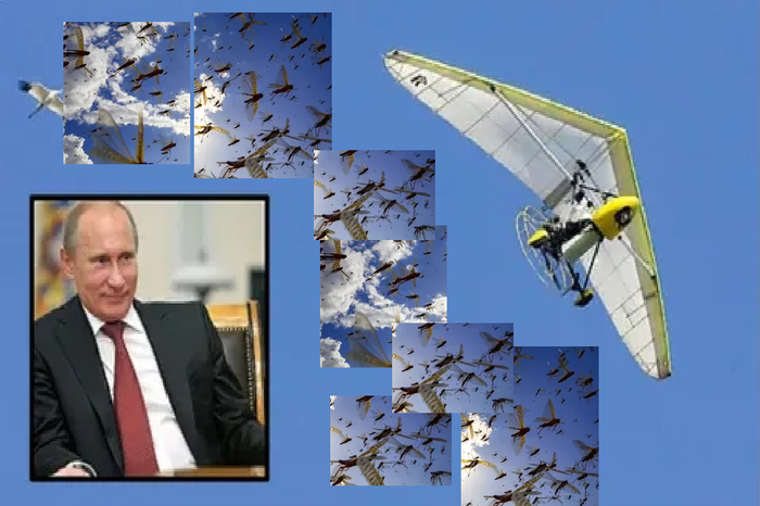 Ответ на пост «А ты даже не знаешь, как их зовут...»