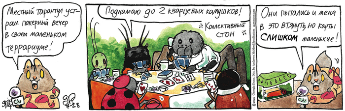    28.07.2025 , ,   (), 