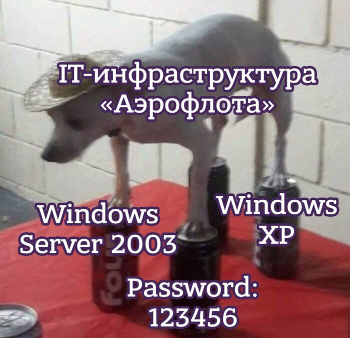 IT- "" ,  , , IT, , Telegram (), , ,   , , ,  