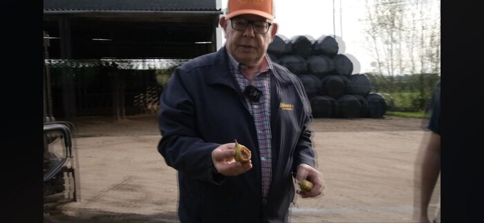    .  2-3      ,    , ,    . 