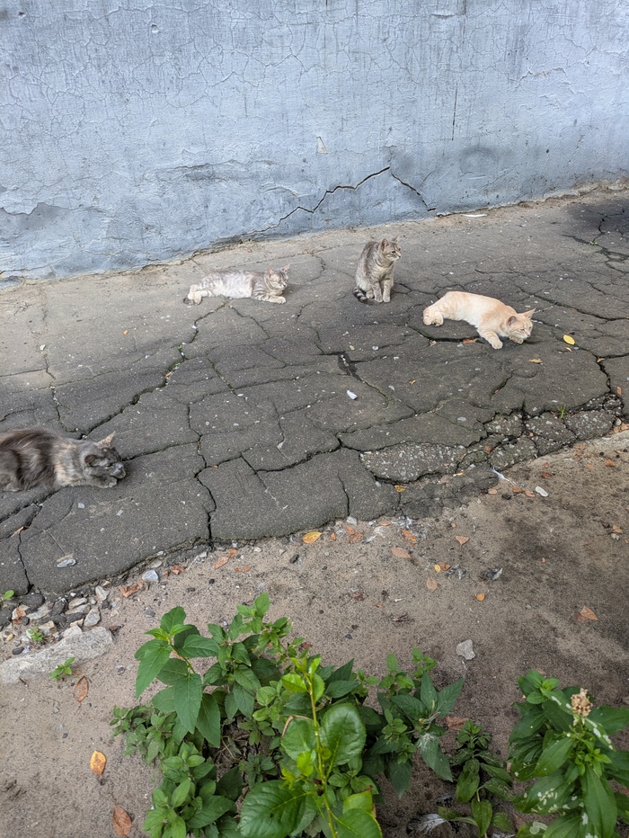    ,     , , ,  , , 