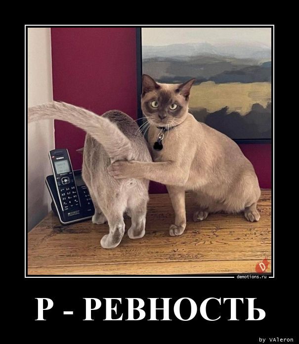 Заметки психолога (ч.28) — Причины для ревности (почему мы ревнуем?)