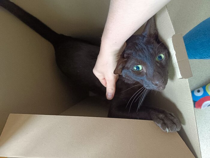 ���� - ��� ������ ������� ��� ����� �� ������������� ����