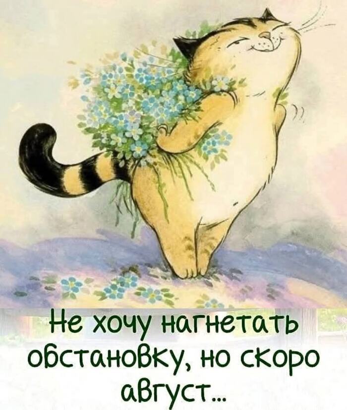   ,   , , , 