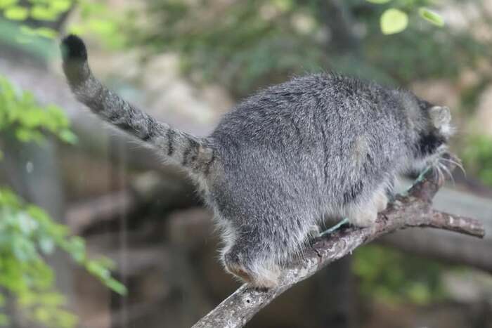 ������� �������� ����������