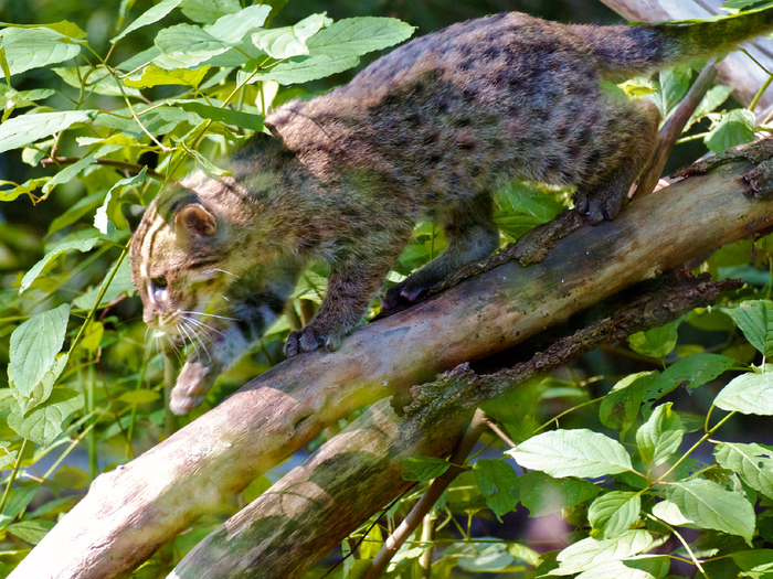 ,        .    !   -   .   , !