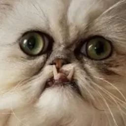 LumpaBMP