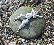 ��(��)���������� ���������