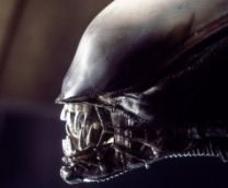 ������ 1979