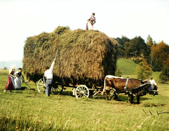 Осколки истории : Интересные и редкие ретро-фотографии Европы. 20 раскрашенных фотографий ХХ века. Часть 24 Историческое фото, 20 век, Старое фото, Европа, Фотография, Италия, Нидерланды (Голландия), Австро-венгрия, Швеция, Франция, Греция, Швейцария, Германия, Колоризация, Длиннопост