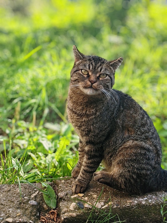 Этот мир мне абсолютно понятен...
