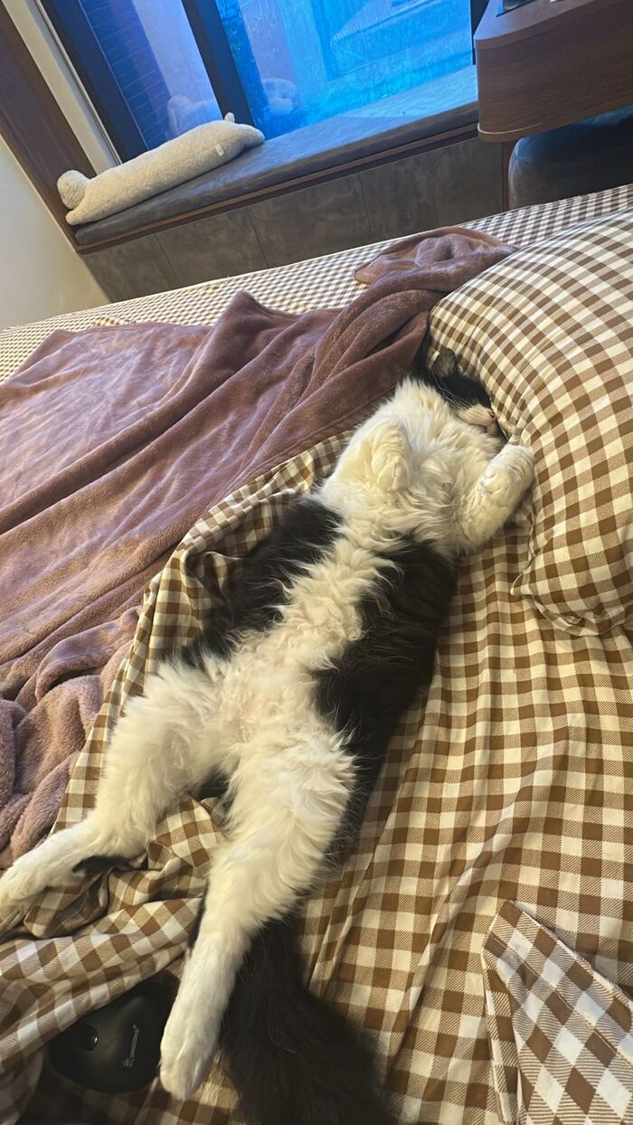 Ой, нет, это дочкин😊