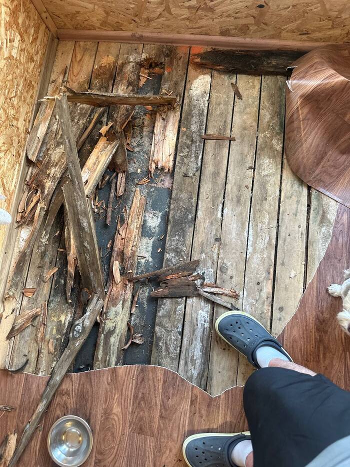 А вот самое начало.