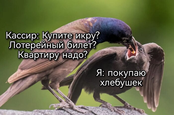 Навязывание услуг: что это такое, за что штрафуют и куда жаловаться