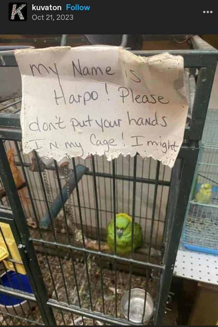 Говорящее окружение