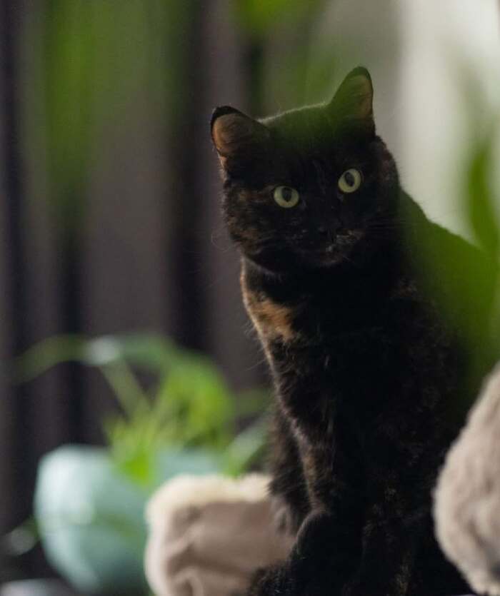 ����������� ����� ���� ���!